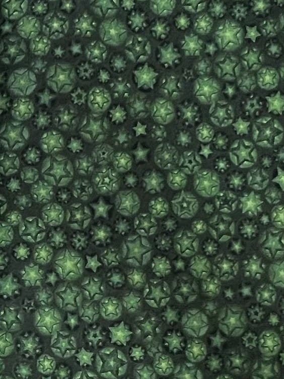 Tela Benartex 12 Days of Christmas estrellas verdes fondo verde oscuro, foto 1
