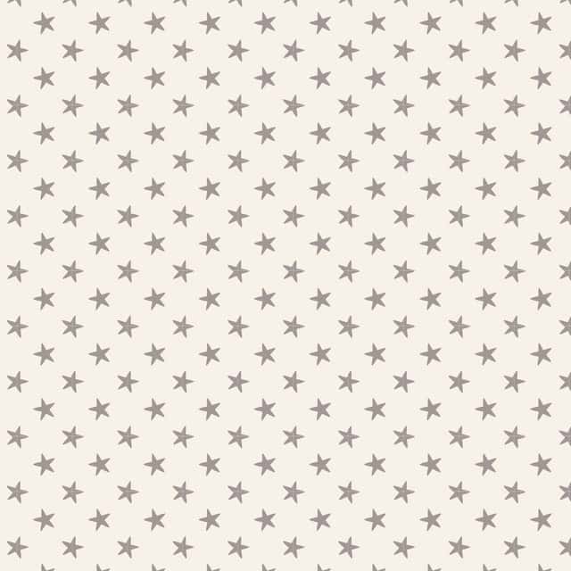 Tela Tilda Classic Basics Tiny Star gris